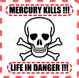 https://www.mercuryfreegoldrecovery.com/media/mercury-kills/mercury-kills-320.png